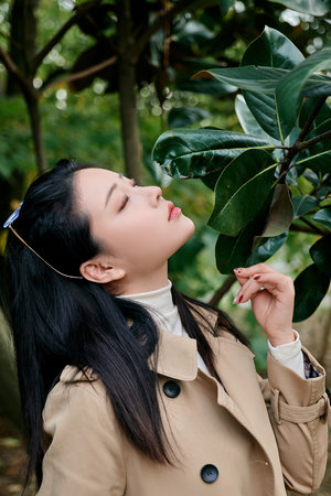 三年大片在线观看免费完整版电