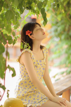三邦车视